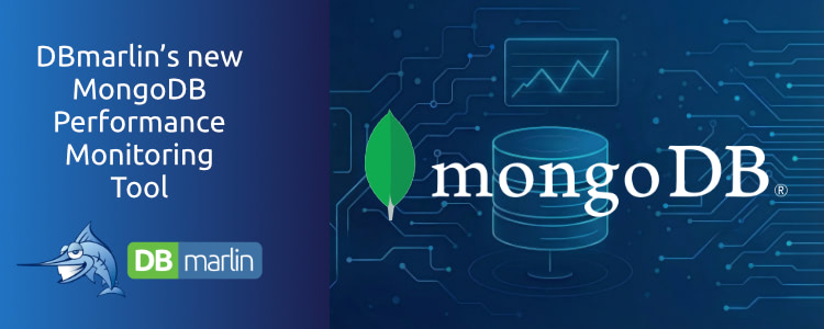 MongoDB Performance Monitoring Tool